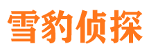 龙南市调查公司